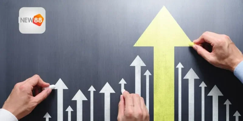 Hành trình hình thành và mở rộng của thương hiệu 