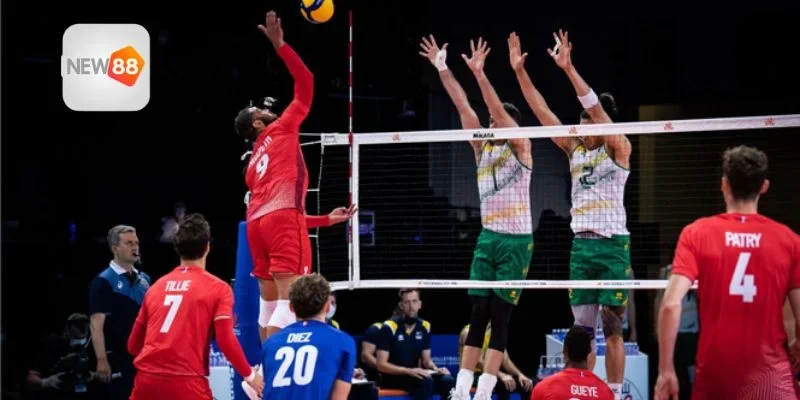 Tổng hợp lựa chọn từ Cá cược bóng chuyền 