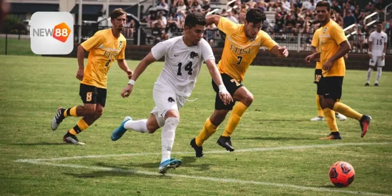 Tùy chọn trực quan trong kèo châu Âu